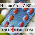 Rhinocéros 7 Bêta 06